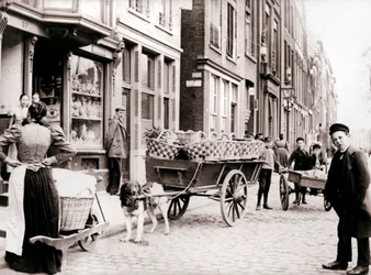 Kutyakocsi, Antwerpen, 1898.