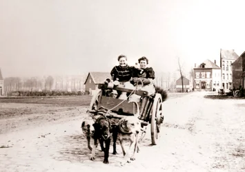 Kutyák húzzák a nőket a szekéren, Antwerpen, 1898.