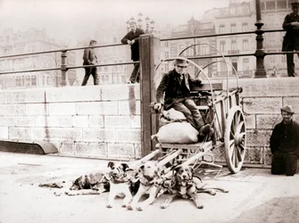 Ember kutyakocsival, Antwerpen, 1898.