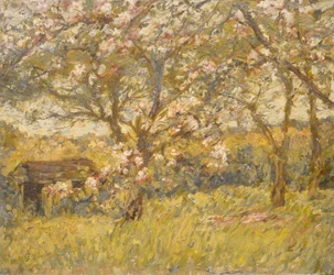 Almavirág (olaj, vászon)