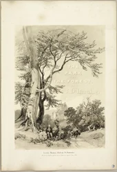 Bükk és tölgy (Frontispiece), a Park és az erdőből