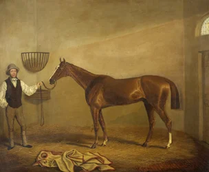 Bravissimo, a Monmouthshire Hunt Cup győztese Abergavennyben