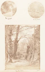 A megközelítés, az erdőben, a tó mellett, 1853-56.