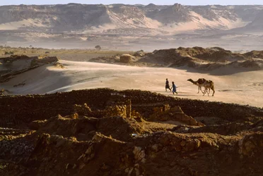 Teve a sókaraván tagjaival átkel a sivatagi fennsíkon BILMA-nál, NIGER. BILMA, NIGER.