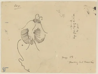 Pillangó (recto); Pillangó töredéke (verso)