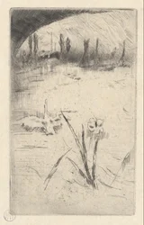 Swan és Iris