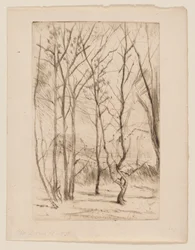 A Dam Wood