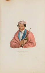 CAN-NO-SA-QUA; A Pottowattomie Chief, az Aboriginal Portfólióból