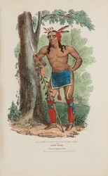 KAA-NUN-DER-WAAGUINSE-ZOO vagy a bogyószedő; egy híres chippewa törzsfőnök, az Aboriginal Portfólióból