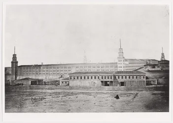 Scutari laktanya, 1854