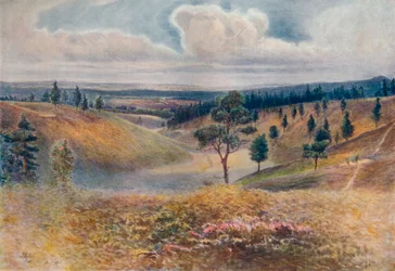 „Kilátás a Beacon Hillről, Hindhead”, 1911, 1914