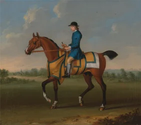Egy Bay Racehorse Jockey Up-al