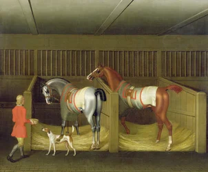 Az istállók és két híres futóló, amelyek Őkegyelméhez, Bolton hercegéhez tartoznak, 1747