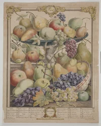 1732 novembere