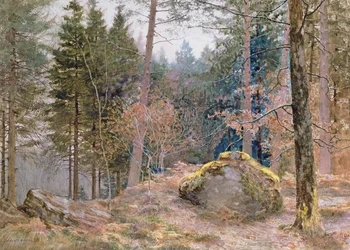Walesi erdőben, télen