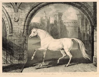 Egy perzsa ló a „Celebrated Horses”-ból, a művész által kiadott tizennégy versenynyomatból álló sorozat, 1823-24