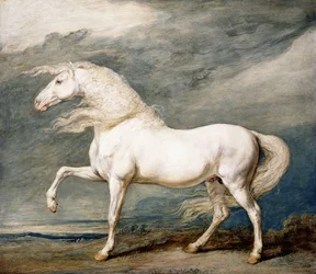 Adonis, III. György király kedvenc töltője,