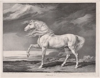 Tizennégy ünnepelt ló: Adonis, 1824.