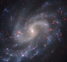 NGC 5584 (Webb NIRCam + Hubble WFC3)