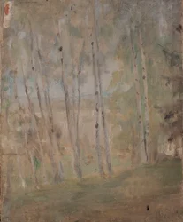 Mariino - Nyírfák