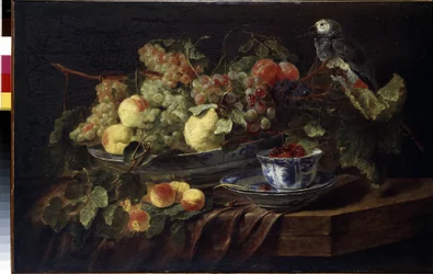 "Csendélet gyümölccsel és papagájjal" (Csendélet gyümölccsel és papagájjal) Jan (Johannes) Fyt (1611-1661) festménye 1645 Méret: 58,3x90,7 cm Ermitázs Múzeum, Szentpétervár