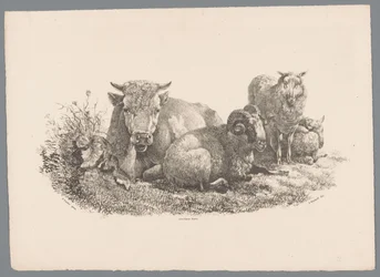 Tehén, kos és két bárány Beesten Studien J. Kobell Paul Potter nyomán Nr. 1 (sorozat címe)