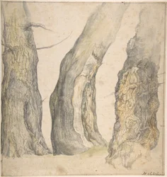 Tanulmány három öreg göcsörtös fáról, 1660.