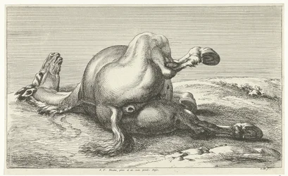 elesett ló Dead Horses (sorozat címe)