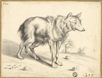 Farkas
