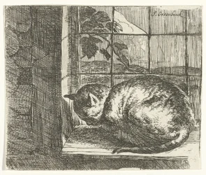 Macska az ablakkeretben