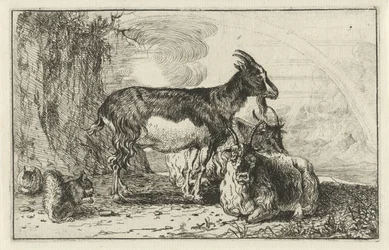 kecskéket Állatok (sorozat címe) Zoographiam (sorozat címe)