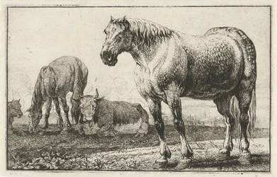 Lovak és tehenek Állatok (sorozat címe) Zoographiam (sorozat címe)