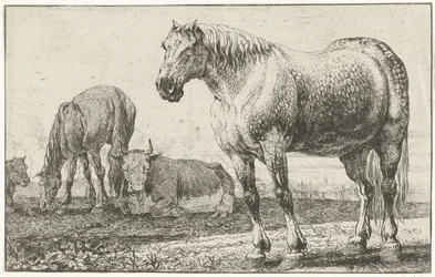 Lovak és tehenek Állatok (sorozat címe) Zoographiam (sorozat címe)