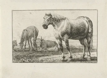 Lovak és tehenek Állatok (sorozat címe) Zoographiam (sorozat címe)