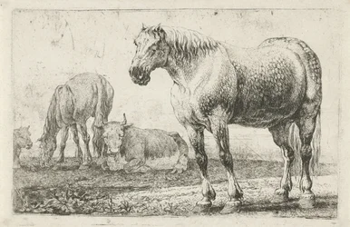 Lovak és tehenek Állatok (sorozat címe) Zoographiam (sorozat címe)