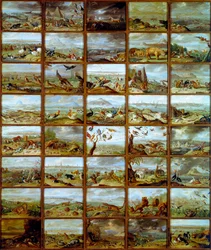 Állatok A különböző állatfajoknak megfelelő rekeszeket bemutató táblázat. Jan Van Kessel (1626-1679) festménye, 17. századi Madrid, Prado Múzeum
