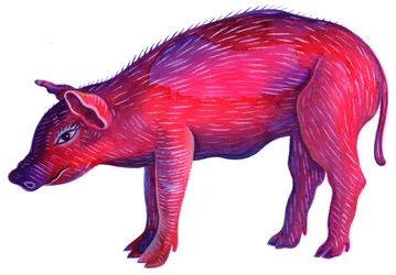 Malac, 1996, (tinta és gouache)
