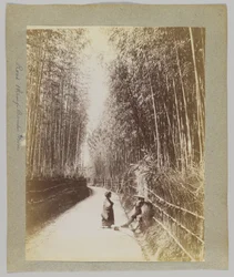 Út egy bambuszligeten át, Japán