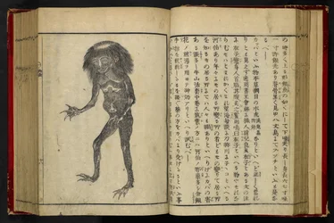 16084.d.15, f.24 A Neneko Kappa, Akamatsu Sōtan „Tonegawa Zushi” című művéből, publikáció 1855 (fametszet)