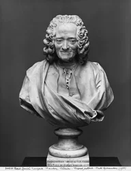 Voltaire mellszobra