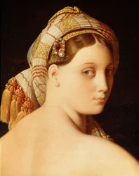 Grande Odalisque. Az arc részlete