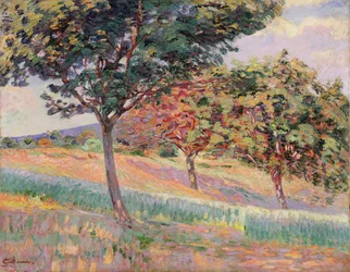 Gyümölcsöskert St. Cheronban, 1893