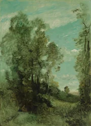 Treescape (reggel)