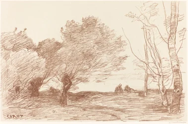 Fűz és fehér nyár (Saules et peupliers blancs)