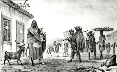 Kiadó ház, ló és kecske eladó a „Voyage Pittoresque et Historique au Bresil”-től,