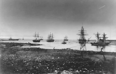 Krími háború, francia hajóraj, behajózás a kikötőbe, 1855