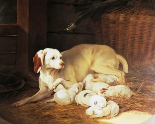 Szukák szoptatós kölykök, részlet a Lise et ses petits-ből, Jean-Baptiste Oudry (1686-1755), Franciaország