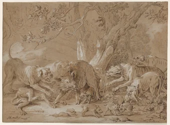 Vadkoca és fiatalja kutyák által megtámadva, 1748.
