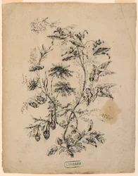 Rajz, Egy fantasztikus fa ága, 1775-1800