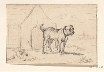 Pórázos kutya, a kennel előtt állva